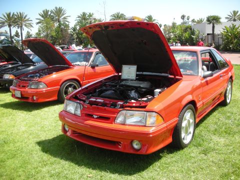 2004 Ford Crown Victoria - Multiple Ford Mustangs displayed with hoods open at an outdoor car show.