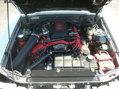 2004 Ford Crown Victoria - The engine bay of a Ford Mustang shows a V8 engine with custom red and black components and an aftermarket intake system.