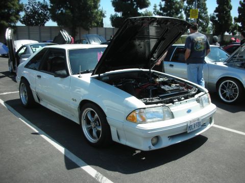 2004 Ford Crown Victoria - White Ford Mustang coupe with hood open at an outdoor car show.