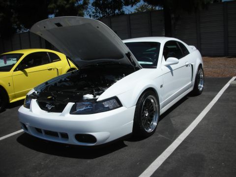 2004 Ford Crown Victoria - A white Ford Mustang is parked with its hood open, next to a yellow Ford Mustang.