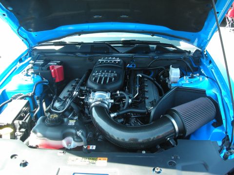 2004 Ford Crown Victoria - Engine bay view of a blue vehicle a "BOSS 302" intake manifold and a carbon fiber cold air intake system.