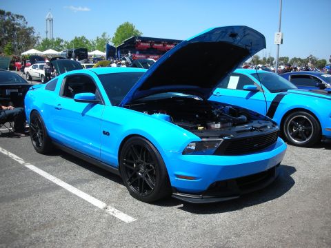 2004 Ford Crown Victoria - Two blue Ford Mustangs are parked at an outdoor car show, one with its hood raised.