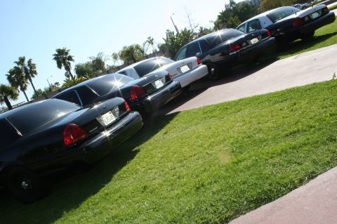 2004 Ford Crown Victoria - A line of black and white Ford Crown Victoria sedans are parked on a sunny day.