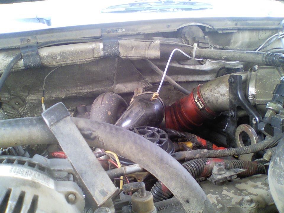 Engine bay with red and black hoses, metal pipes, and wiring. A white tube with a brass fitting extends from a black component