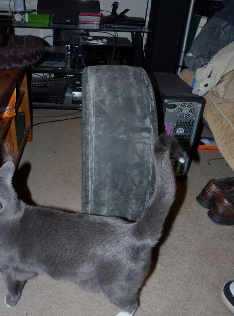 2006 Ford E350 - A cat inspects a worn tire in a room filled with electronics and furniture.
