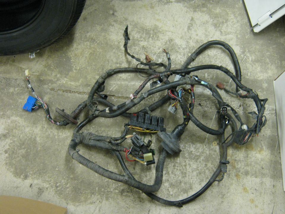driver's side/front harness.