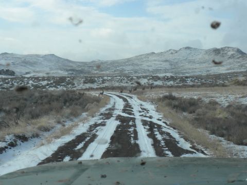 1989 Ford Bronco - A herd of deer are seen on a snow-covered dirt road with mountains in the distance.