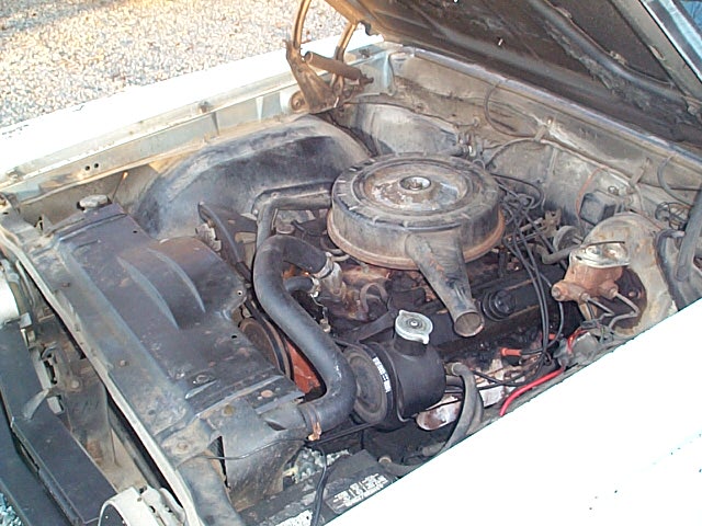 Engine bay with V8 engine, air cleaner, hoses, and power steering pump