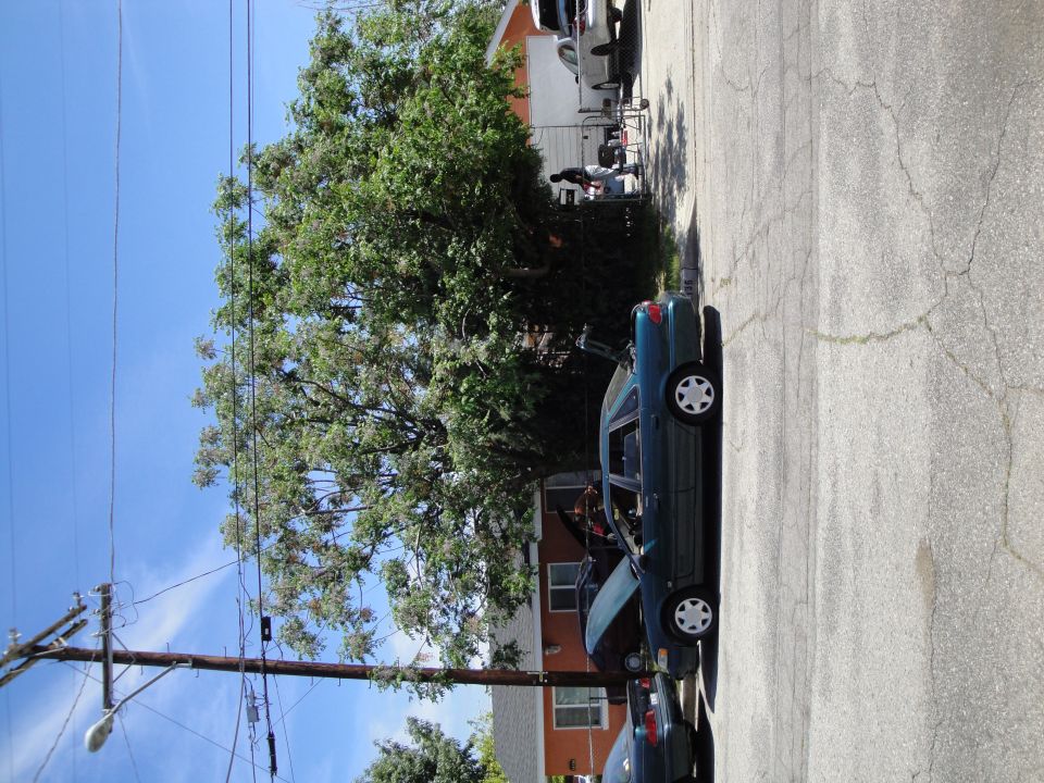 Green 2003 Ford Taurus sedan, side view, parked on cracked asphalt