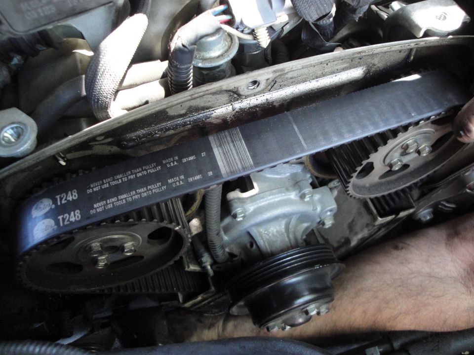 Timing belt with T248 markings and Gates logo, near a water pump and gears