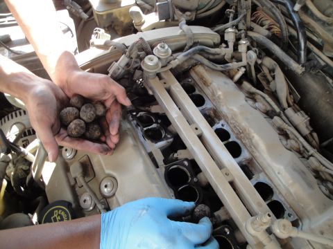 2003 Ford Taurus - Hands are shown holding walnut shells over a car's engine intake manifold, possibly for cleaning purposes.