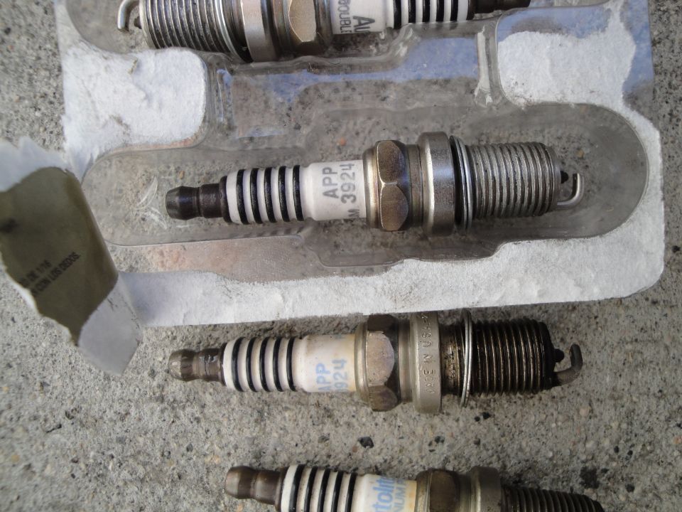 Four spark plugs in a plastic holder, with text APP 3924 visible