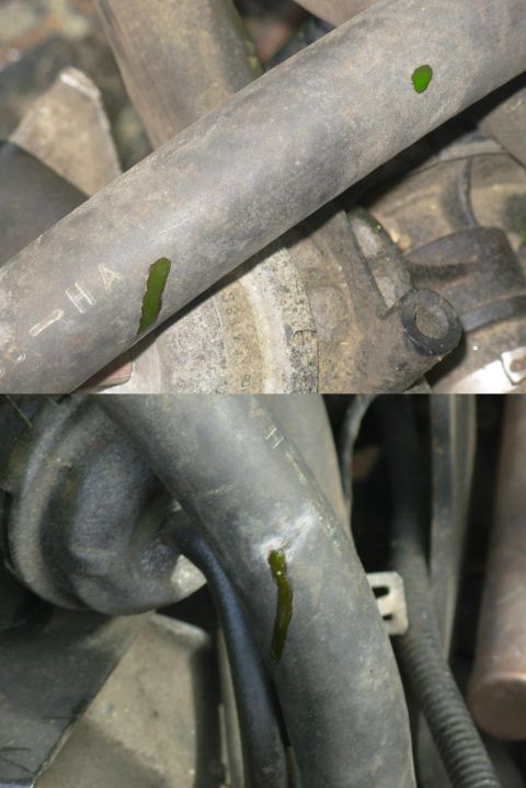 1995 Ford F-150 - I've never seen this before - it looks like someone went along the heater hose with a needle punching it every 2".