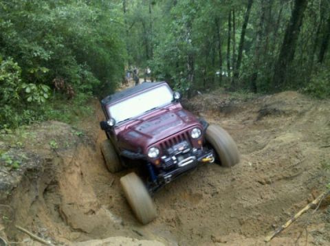 1995 Ford Bronco photo