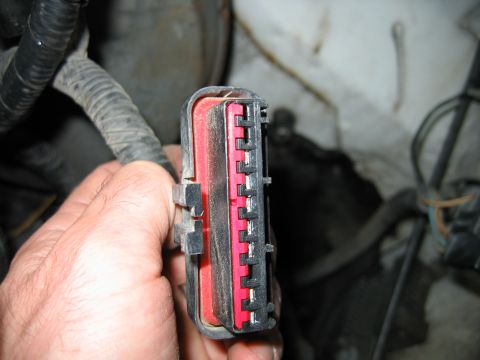 1992 Ford Bronco - Close-up of a vehicle's wiring harness connector being held by a hand.