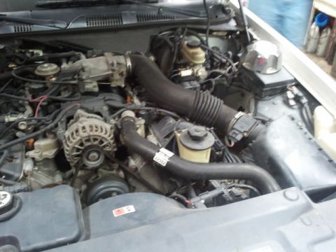 1998 Ford Crown Victoria - Engine bay of a Ford V8 sedan viewed from the front, with a new black upper radiator hose routed across the top of the engine and a black c…