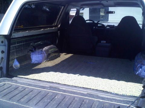 1994 Ford Bronco - Interior of a white full-size SUV shot from behind the dropped tailgate, with the rear seat out and speckled floor coating spread across th…