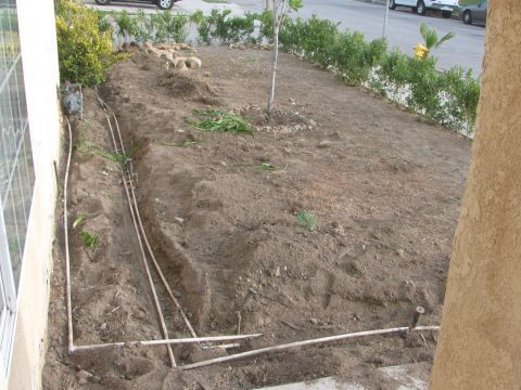 1968 Ford Mustang - Newly installed irrigation pipes are visible in a residential yard.