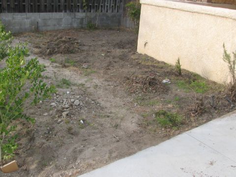 1968 Ford Mustang - A backyard area appears to be undergoing landscaping or has been recently cleared.