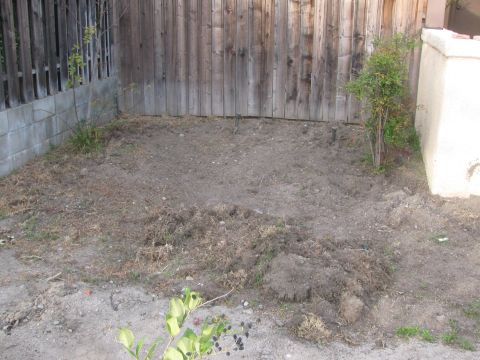 1968 Ford Mustang - A backyard scene with a patch of dirt and a wooden fence.