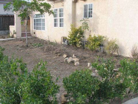 1968 Ford Mustang - A house exterior shows a yard with landscaping in progress, dirt, bushes, and rocks.