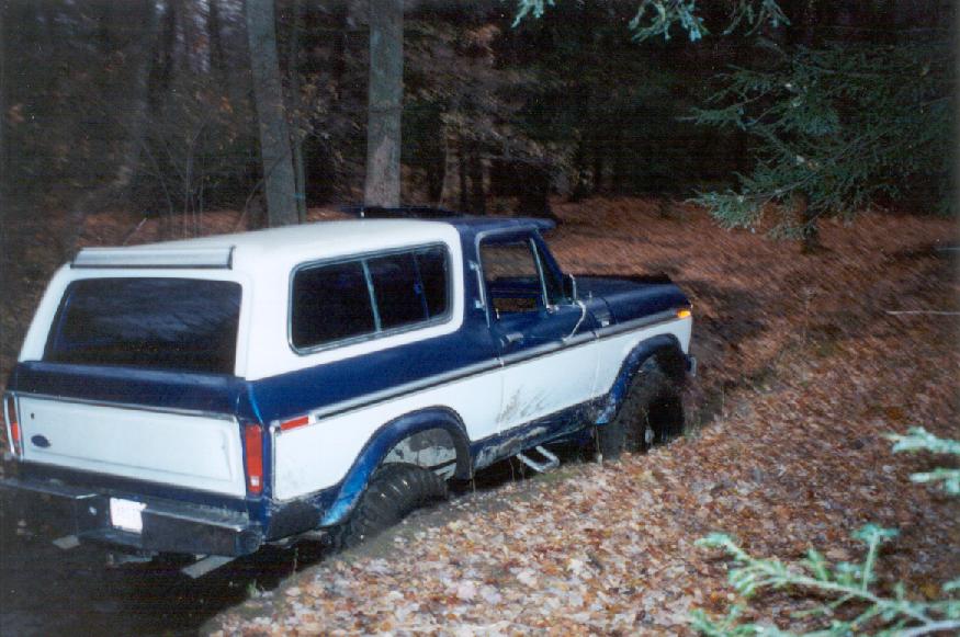 Rear of a blue and white lifted Bronco parked on a wooded slope covered in leaves