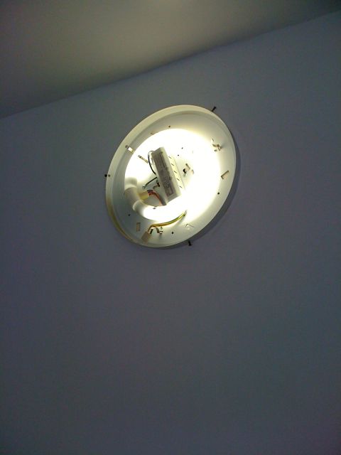 1968 Ford Mustang - A ceiling light fixture is shown, with its internal components visible.