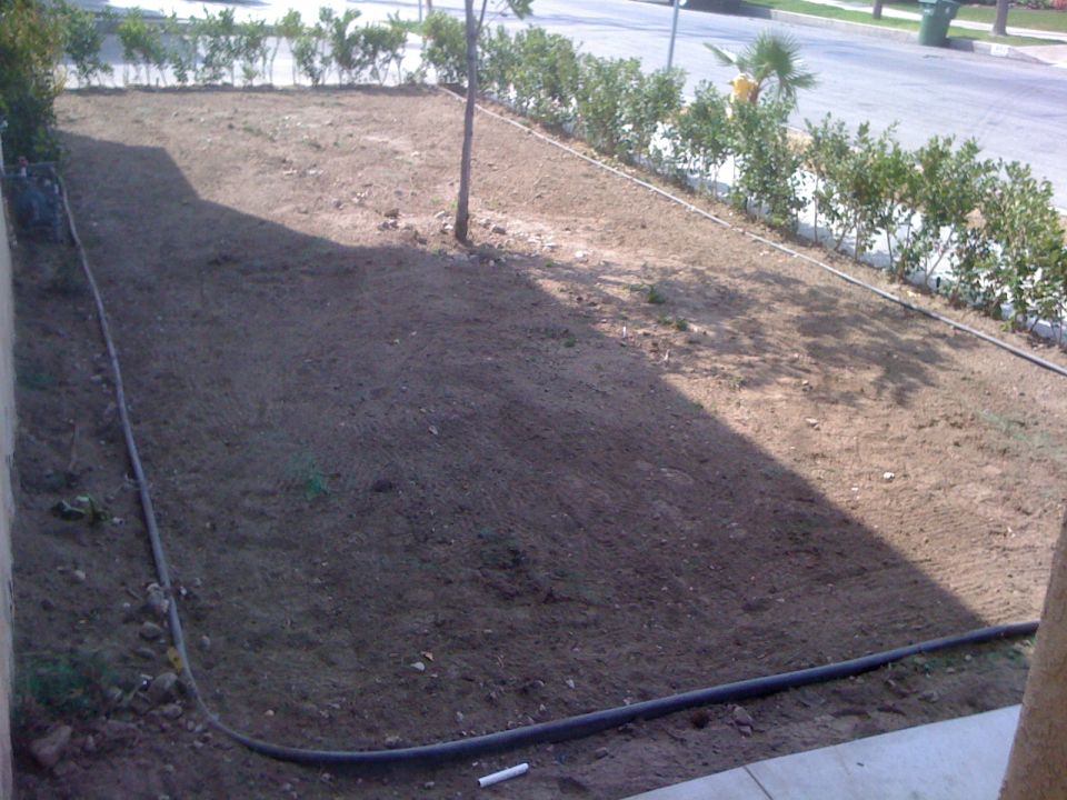 Yard with dirt, a tree, bushes, and a street in the background