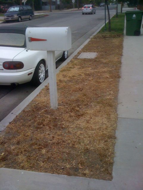 1968 Ford Mustang - White convertible parked on street next to a mailbox, with other vehicles in the background.