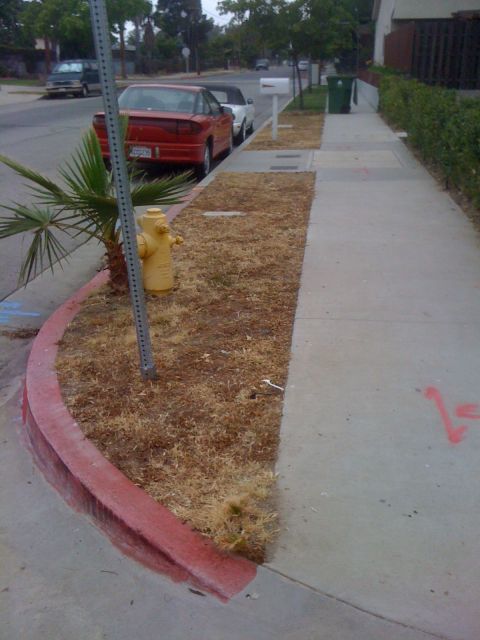 1968 Ford Mustang - A red sedan is parked on the street next to a sidewalk with a fire hydrant and a small palm tree.