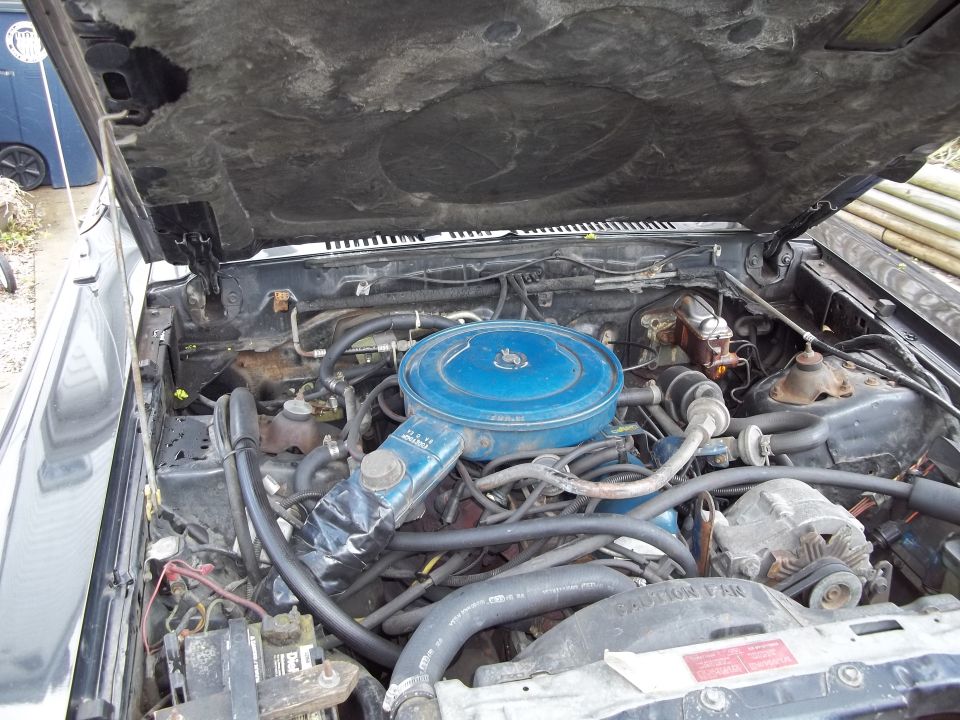 Engine bay with blue air cleaner, hoses, and alternator. Hood is open