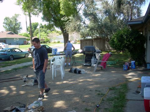 1992 Ford Ranger - A backyard scene with people, dogs, and vehicles, suggesting a casual gathering or barbecue.