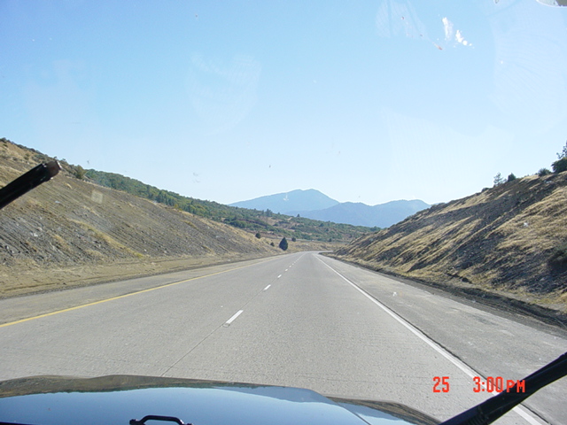 Going through the Shasta-Trinity National Forest.