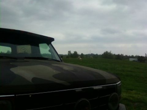 1995 Ford Bronco - 1995 Ford Bronco with a camouflage pattern on its hood, seen from the front passenger side in a rural setting.