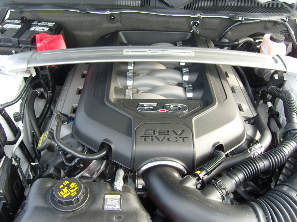 Ford 5.0L 32V Ti-VCT engine cover with GT badge