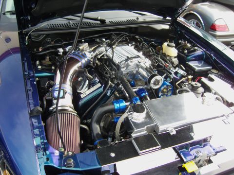2007 Ford Mustang - Engine bay of a 2007 Ford Mustang, a polished supercharger and custom blue plumbing.