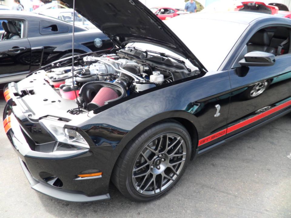 Black Ford Mustang GT500 with hood open showing engine and red air filter. Another Mustang is visible behind it