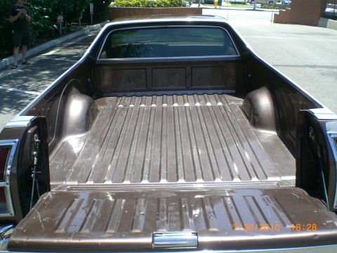 1979 Ford Ranchero - Rear view of a brown 1979 Ford Ranchero pickup truck bed, showing its ribbed floor and tailgate.