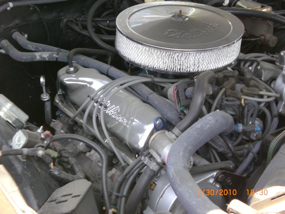 Engine bay with chrome valve covers and air cleaner