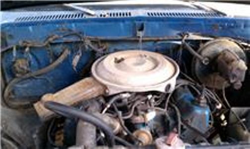 1979 Ford Bronco “Left for Dead”