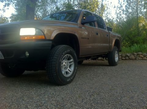 2001 Dodge Dakota - A brown 2001 Dodge Dakota pickup truck is parked on a gravel surface with trees and a stone wall behind it.