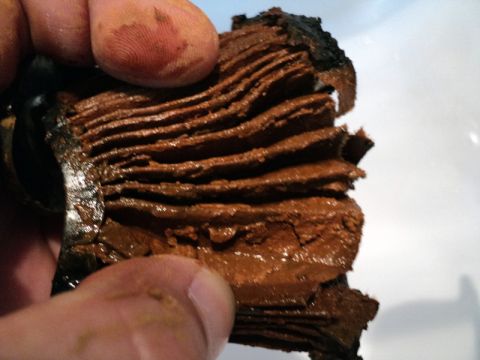 2001 Mercury Grand Marquis - Clogged coolant filter showing extensive buildup of sludge and debris.