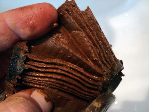 2001 Mercury Grand Marquis - A heavily clogged coolant filter, coated in thick brown sludge, is held by a finger.