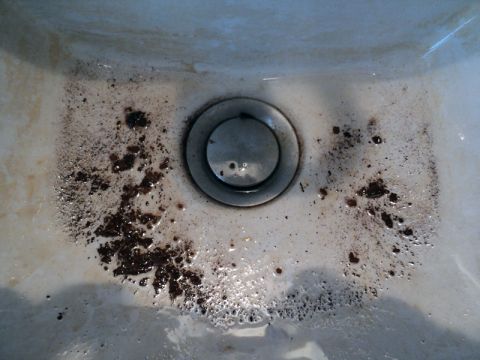2001 Mercury Grand Marquis - The sink drain is clogged with debris and soap scum.