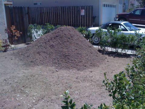 1968 Ford Mustang - Yard scene with a large pile of mulch and two vehicles in the background.