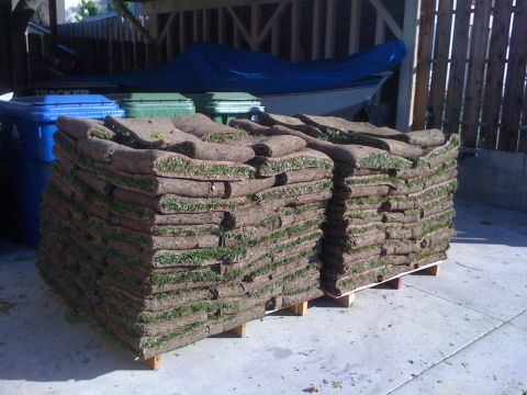 1968 Ford Mustang - Sod rolls stacked on wooden pallets, ready for delivery or installation.