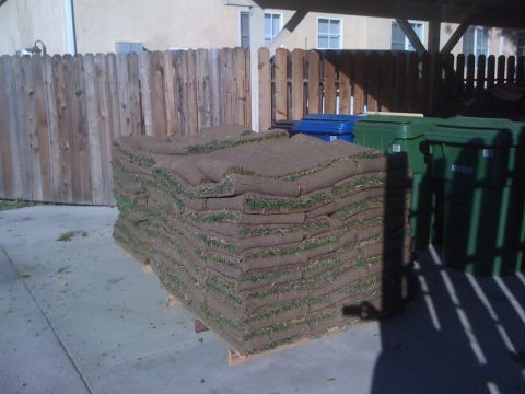 1968 Ford Mustang - A large stack of sod rolls sits on a pallet in front of a wooden fence and trash bins.