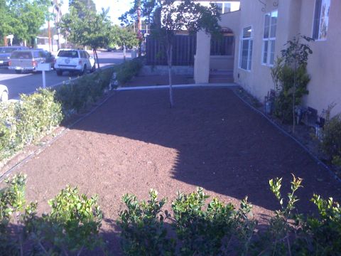 1968 Ford Mustang - Several vehicles are parked on the street in front of a house with a freshly prepared garden bed.