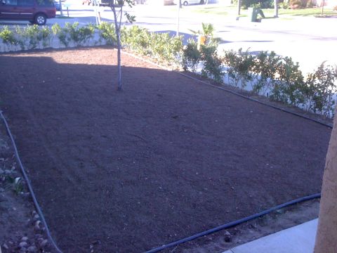 1968 Ford Mustang - A red SUV is visible on the street in front of a residential property with a new garden.