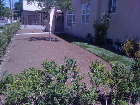 1968 Ford Mustang - A residential front yard shows new sod being laid next to a patch of bare dirt, with landscaping and a house visible.